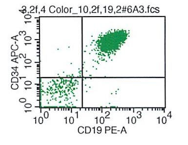 CD34 vs CD19